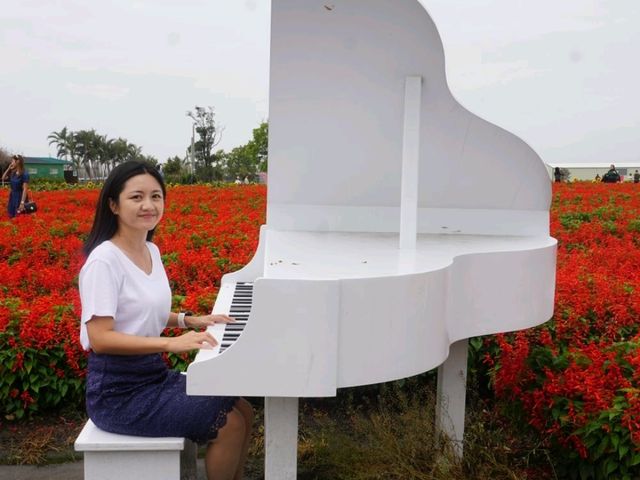 台中中社花海