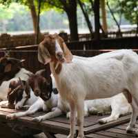 เที่ยว “นครปฐม” 2 วัน 1 คืน กับจุดเช็คอินสุดฮีลใจ 