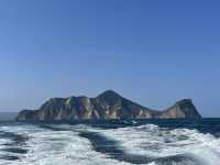 一日外澳-龜山島(登島賞鯨豚)-頭城走走