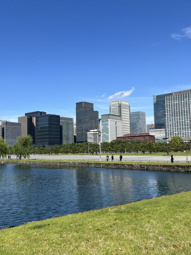 Spring Blossoms at the Imperial Palace🌼