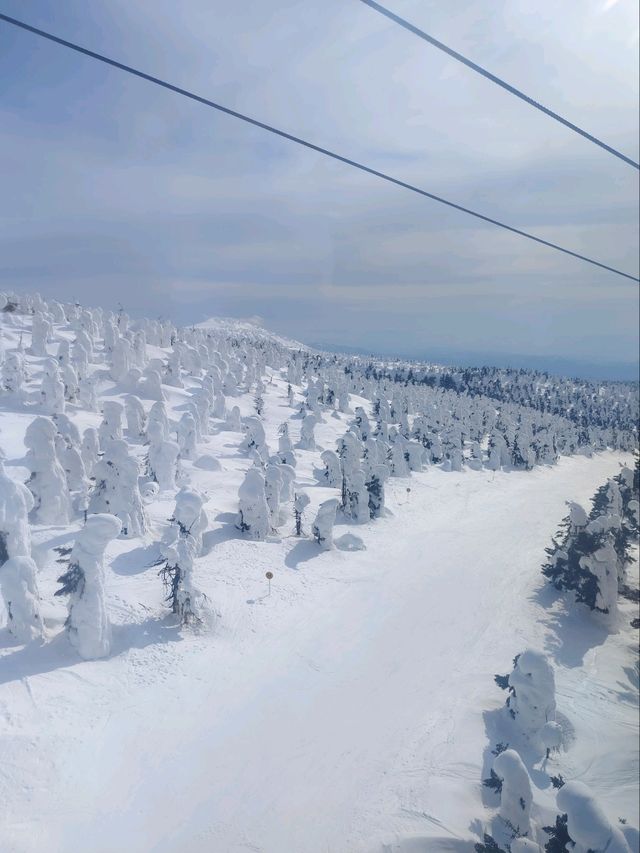 2025.03.12藏王樹冰之旅