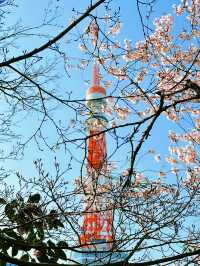 🌸【東京鐵塔櫻花｜2025粉雪紛飛下的地標絕景】  