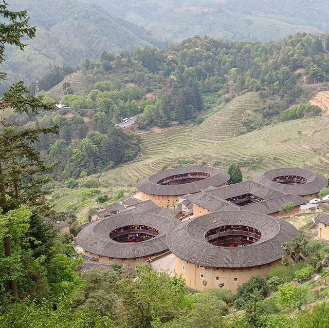 福建土樓一天遊 福建土樓一天遊