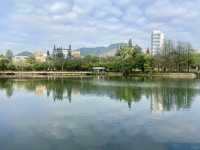 深圳清新自然美地✨四海公園 🌸🌿