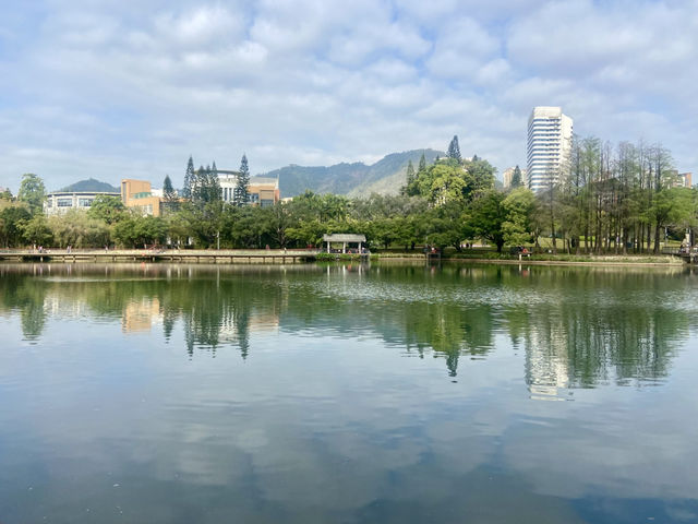 深圳清新自然美地✨四海公園 🌸🌿