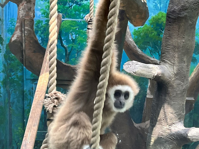 忠清南道　ソチョン郡にある国立生態園✨☘️