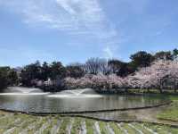 名古屋名城公園賞櫻美景