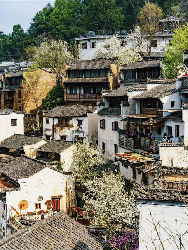 Springtime Escape to Chunshan 🌸🏞️