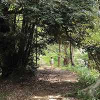 福岡城遺跡（Fukuoka Castle Ruins）