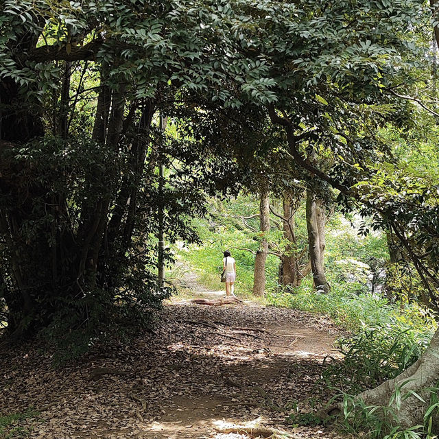 福岡城遺跡（Fukuoka Castle Ruins）