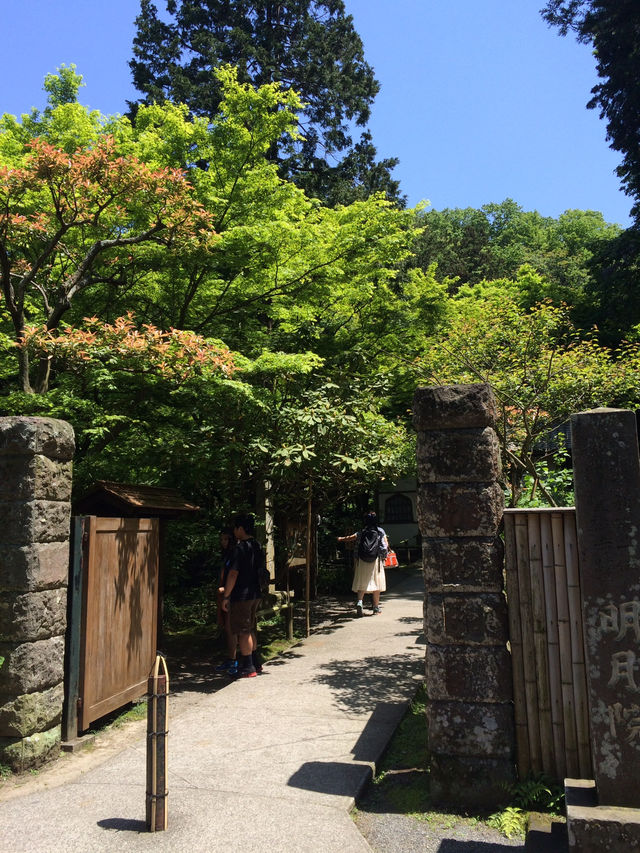 【鎌倉アルプス:北鎌倉・山之内・今泉の秘境から二階堂まで。散在ヶ池公園・陰陽滝・天園ハイキングコース 】