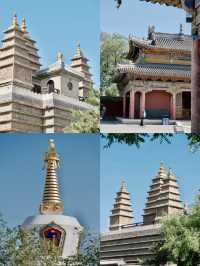 A Fun-filled Trip to Hohhot – The Experience You Won’t Forget! 🐑🌄
