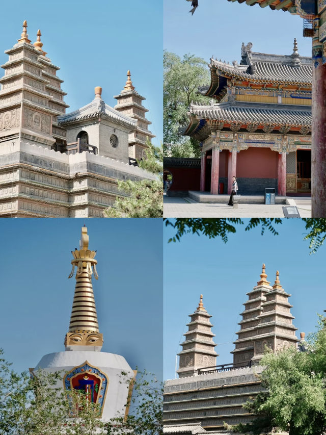 A Fun-filled Trip to Hohhot – The Experience You Won’t Forget! 🐑🌄