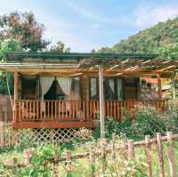 Mori Natural Farm โมริ เนเชอรัลฟาร์ม เชียงใหม่ 🏮🛖