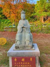 臺灣八景之一#八卦山大佛風景區-彰化縣彰化市