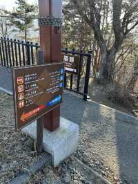 搭天上山公園纜車🚡鳥瞰河口湖嘆絕景富士山🗻