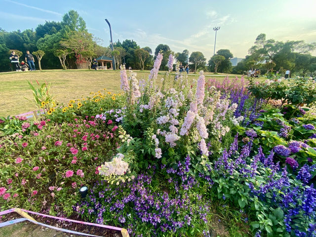 ✨探索城市中的美麗繽紛世界✨中山公園 