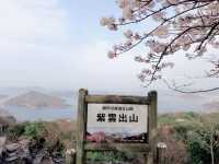 四國賞櫻之旅：紫雲出山停車場展望台