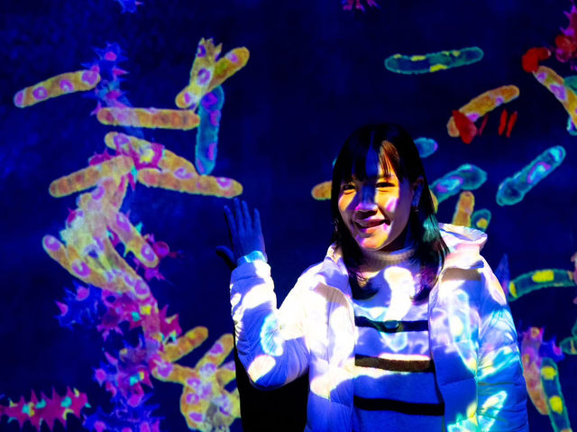 teamLab Planets Tokyo เปิดโซนใหม่ 2025
