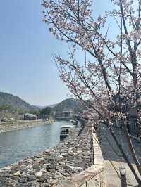 แพลนเที่ยว 1 Day "UJI (อุจิ)" เมืองแห่งชาเขียว