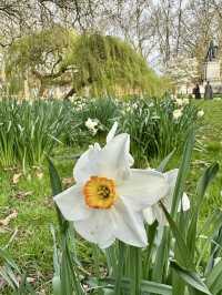Whitworth Park, Manchester