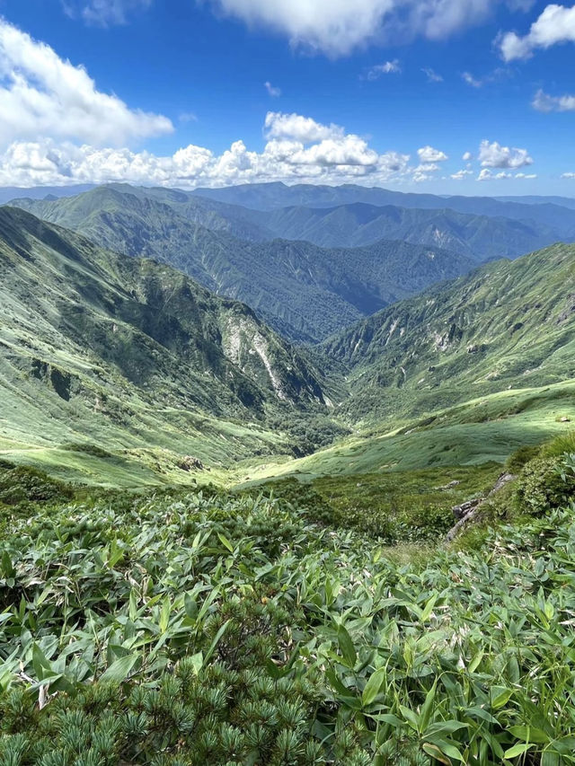 【大自然を感じる谷川岳登山】 