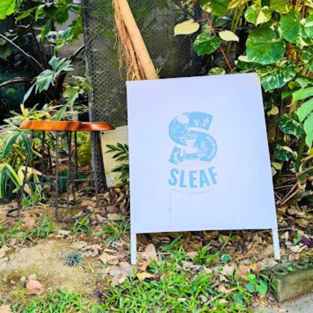☕ SLEAF CAFE