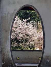 Whispers of the Past: Strolling Through Jichang Garden’s Timeless Beauty