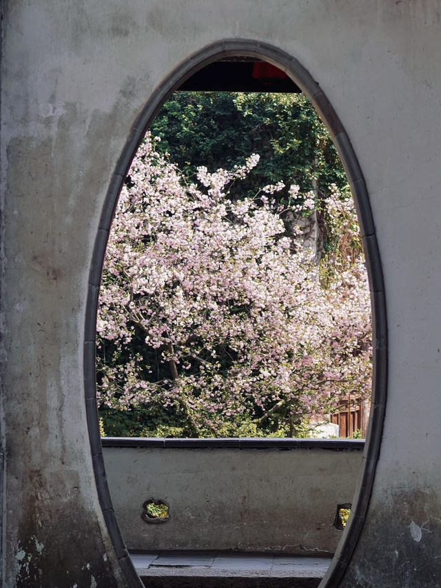 Whispers of the Past: Strolling Through Jichang Garden’s Timeless Beauty
