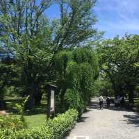 走進二条城，穿越回幕府時代的歷史現場