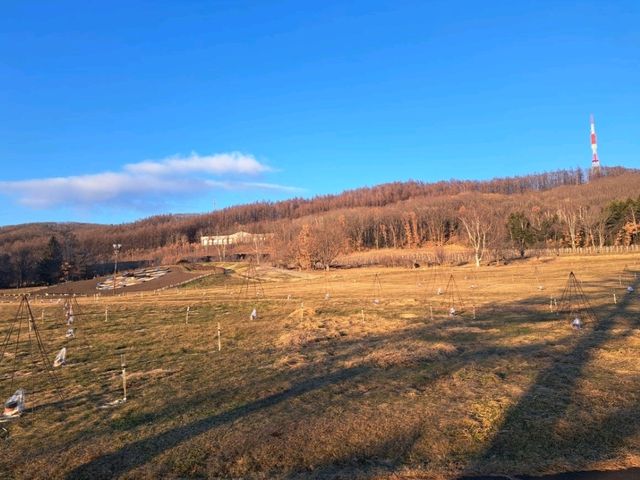 北海道旅遊🥳十勝之丘公園🔔音更花時計🕐欣賞日落風景🌅
