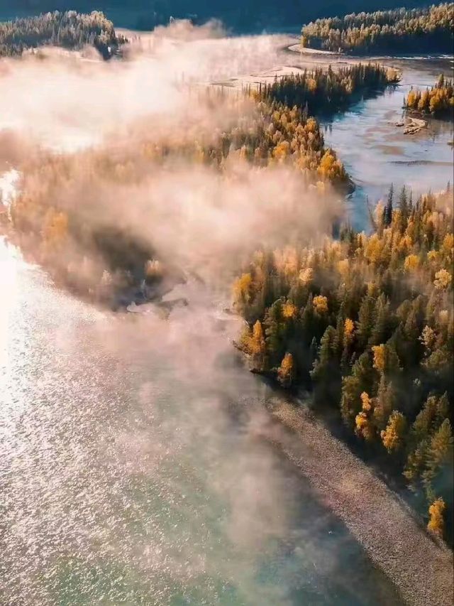 Golden Silence: Discovering Hemu in Autumn