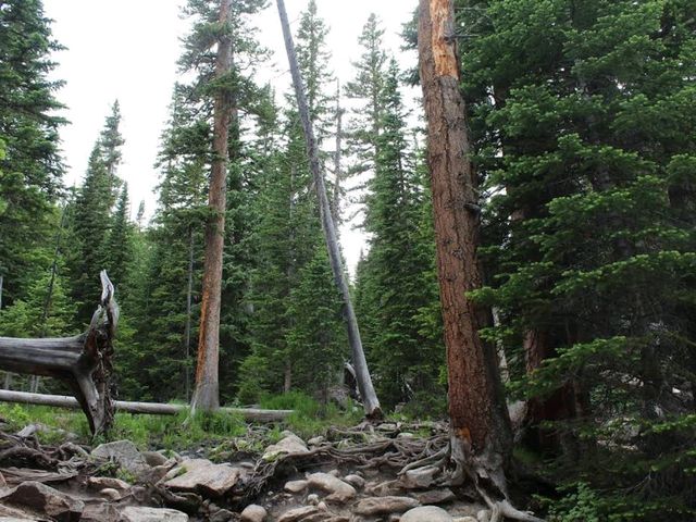 Rocky Mountain National Park, Colorado – Alpine Heights, Eco Insights
