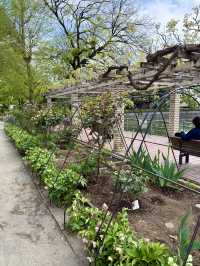 A Peaceful Spring Walk at Himonya Park🍃