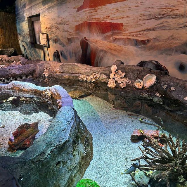 Aquaria KLCC