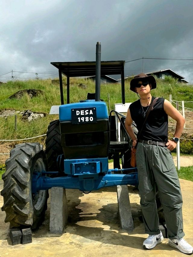 다양한 체험이 가능한 키나발루 산 데사 팜🇲🇾