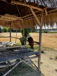 Gurun Pasir Bintan