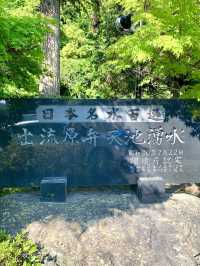 A Spring Drive to the Magical Izuruhara Benten Pond