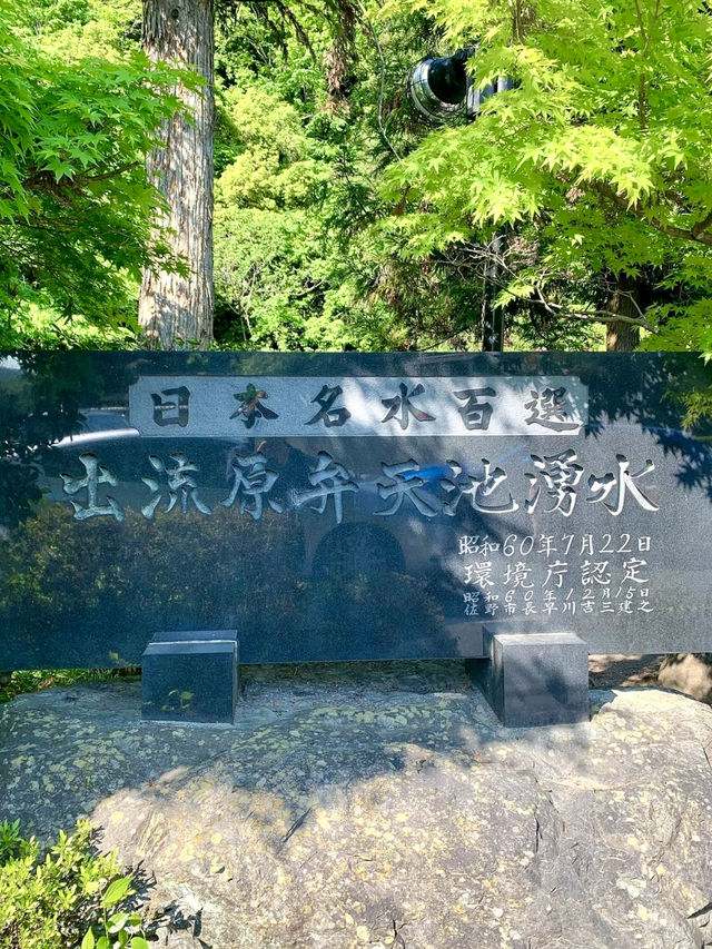 A Spring Drive to the Magical Izuruhara Benten Pond