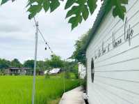 คาเฟ่ท้องนา หน้าฝนนี้มีที่เช็คอินยัง