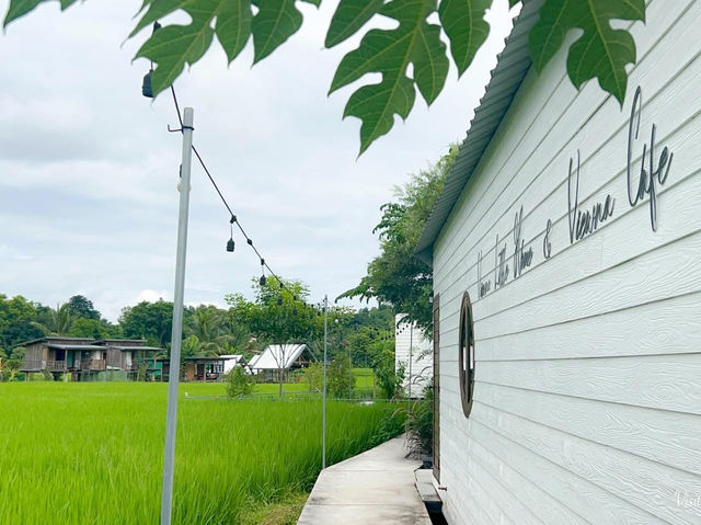 คาเฟ่ท้องนา หน้าฝนนี้มีที่เช็คอินยัง