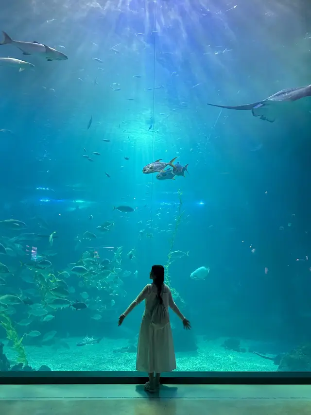 아시아 최대 규모 아쿠아리움 🐟