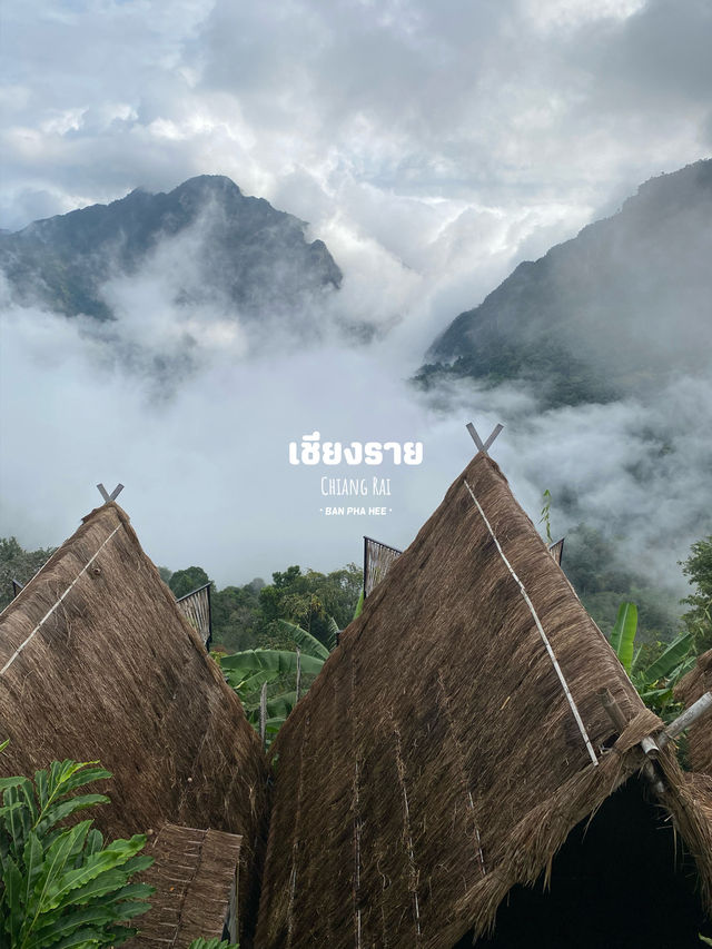 เที่ยวภาคเหนือฤดูฝน | 11 จังหวัด ⛰️🌦️🌳🌈