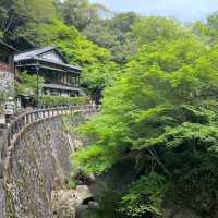 箕面瀑布（Minoh Falls）