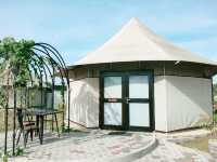Glamping with a Conscience: My Eco-Luxury Escape at Natra Bintan