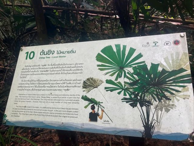 น้ำตกกรุงชิง อุทยานแห่งชาติเขาหลวง