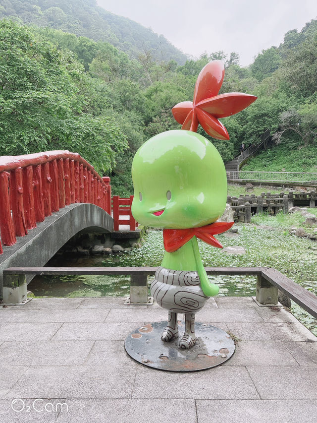 桃園石門水庫 槭林公園吸收芬多精～綠蔭蔥蔥 欣賞湖光山色
