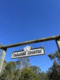 黃金海岸🐨快來Paradise Country🐑天堂農莊一日遊 