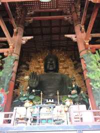 奈良の象徴「東大寺」—世界最大級の大仏と1300年の歴史に触れる旅へ 
