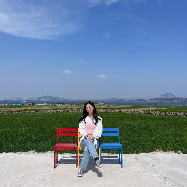 봄제주봄🌼 제주의 봄 보러오세용
